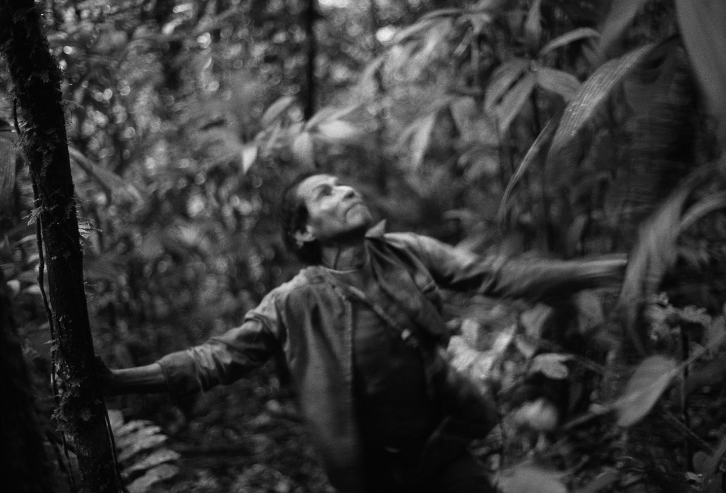 Copertina di “How Forests Think – Toward an Anthropology Beyond the Human”, di Eduardo Kohn
